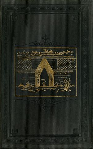 [Gutenberg 60170] • Travels Amongst American Indians, Their Ancient Earthworks and Temples / Including a Journey in Guatemala, Mexico and Yucatan, and a Visit to the Ruins of Patinamit, Utatlan, Palenque and Uxmal